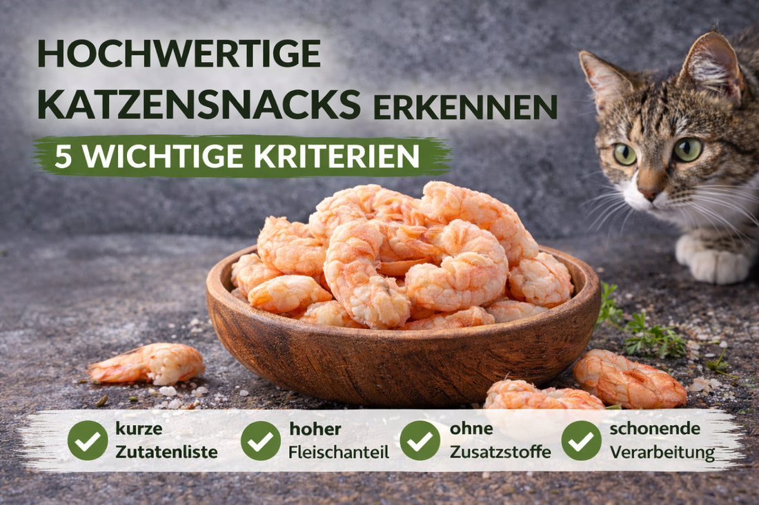 kriterien hochwertige katzensnacks