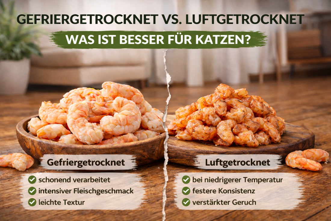 Katzensnacks gefriergetrocknet im vergleich zu luftgetrocknet